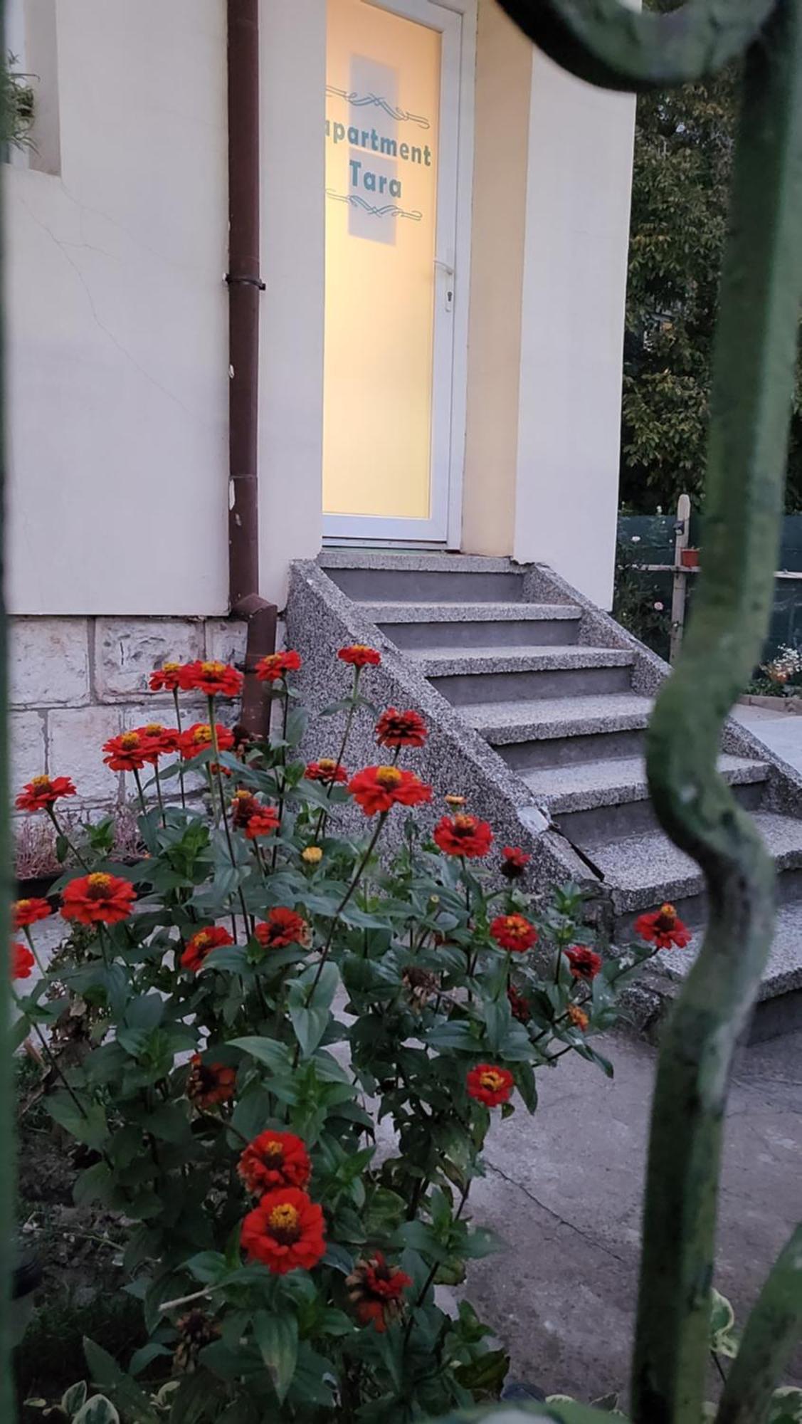 Апартамент За Гости Тара Ruse Esterno foto